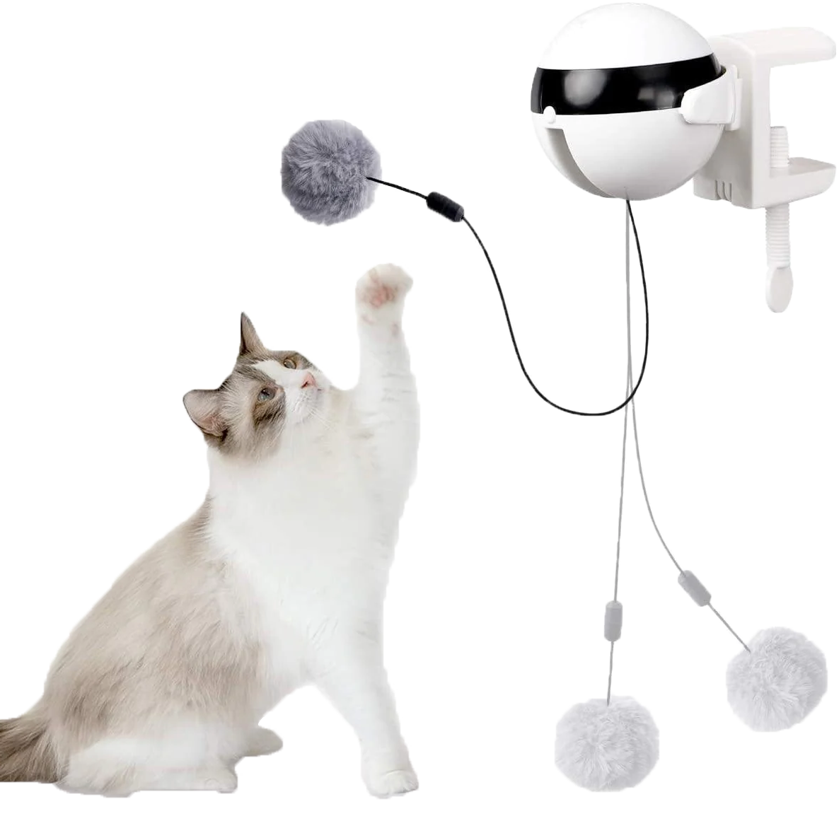 Cat Interactive Toy