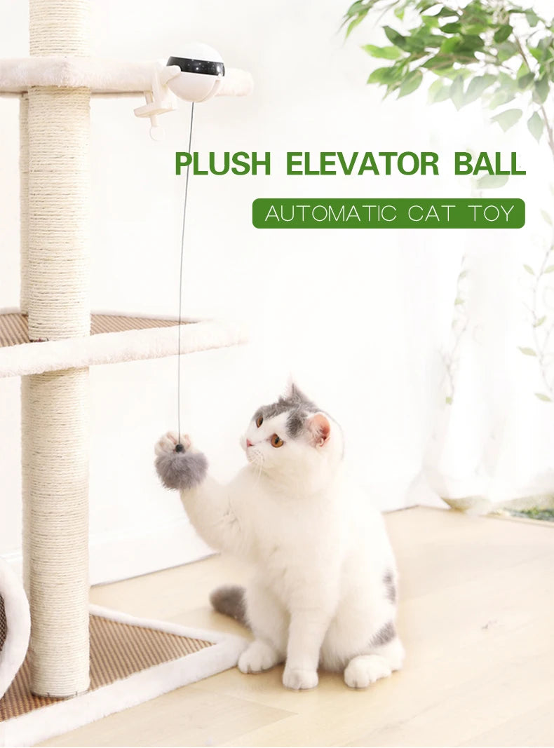 Cat Interactive Toy