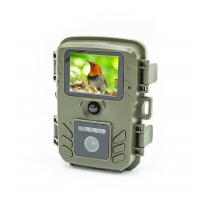 Bird Watching Camera - Jack of All Trends