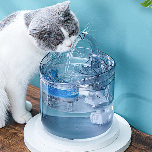 Smart Cat Water Fountain - Jack of All Trends