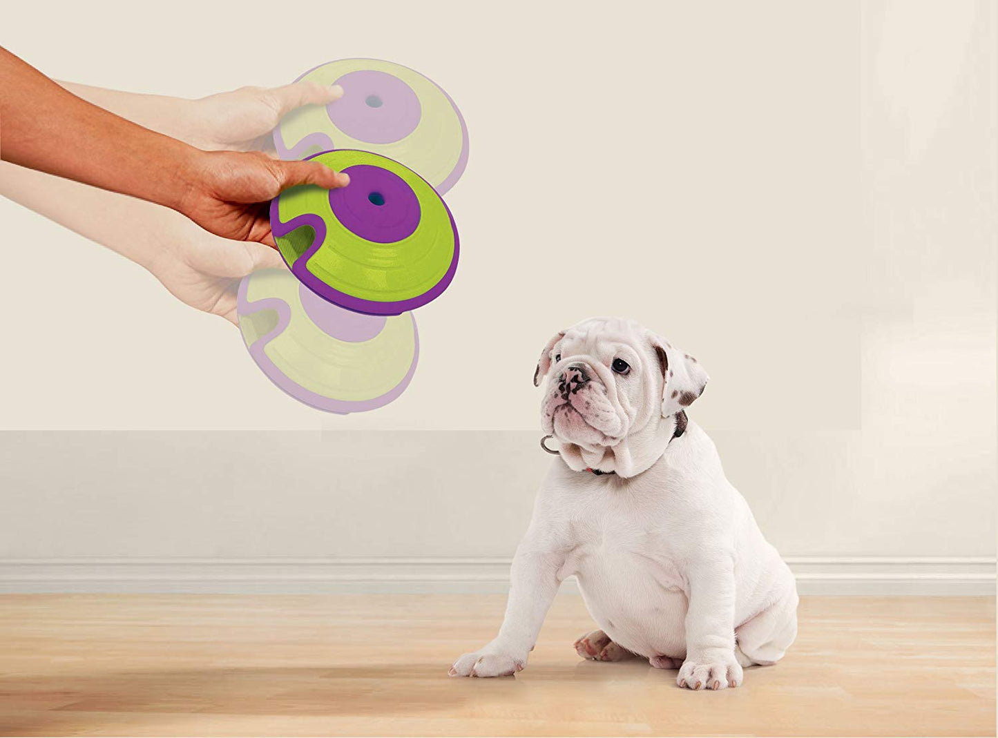 Maze Dispensing Dog Treat Toy - Jack of All Trends