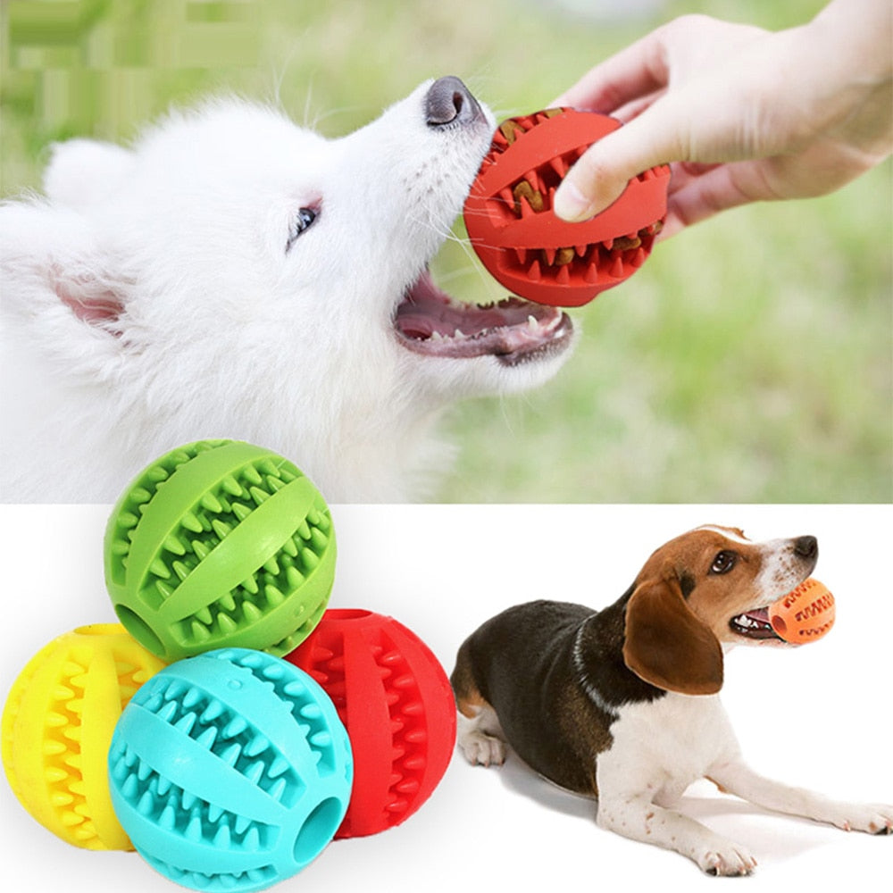 Rubber Balls Chewing Pet Toys - Jack of All Trends