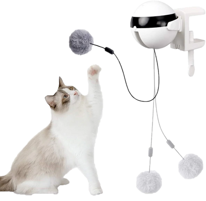 Cat Interactive Toy