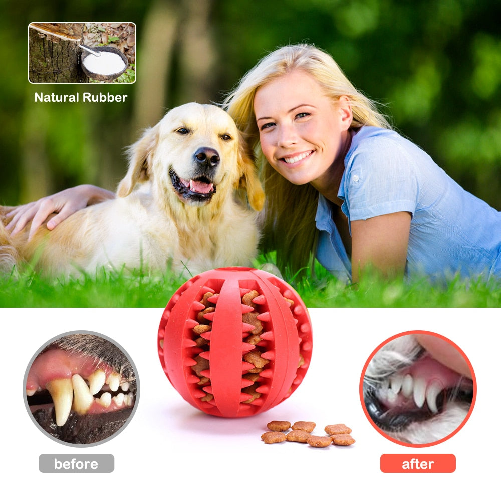 Rubber Balls Chewing Pet Toys - Jack of All Trends