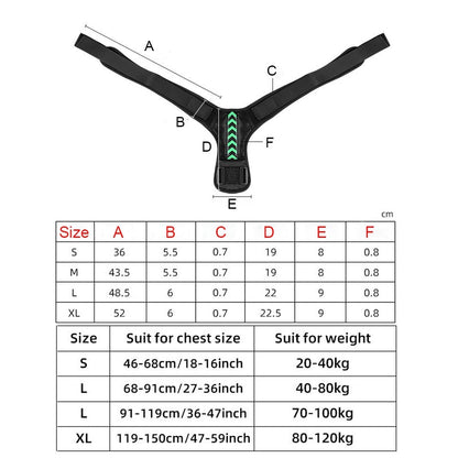 Posture Corrector - PosturePro - Jack of All Trends