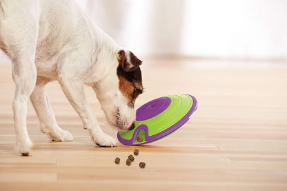 Maze Dispensing Dog Treat Toy - Jack of All Trends