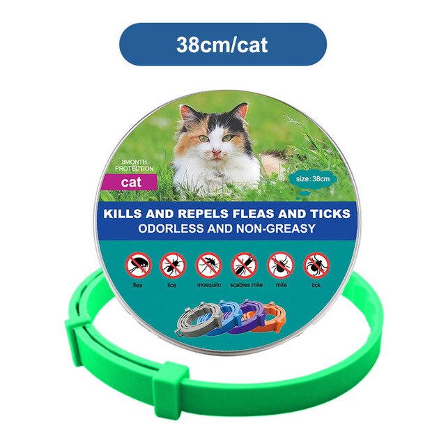 Pet Cat Dog Flea and Tick Remover Collar Anti-parasitic Necklace Adjustable Anti Flea Dog Collar for Puppy Cat Big Dog Products - Jack of All Trends