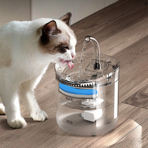 Smart Cat Water Fountain - Jack of All Trends