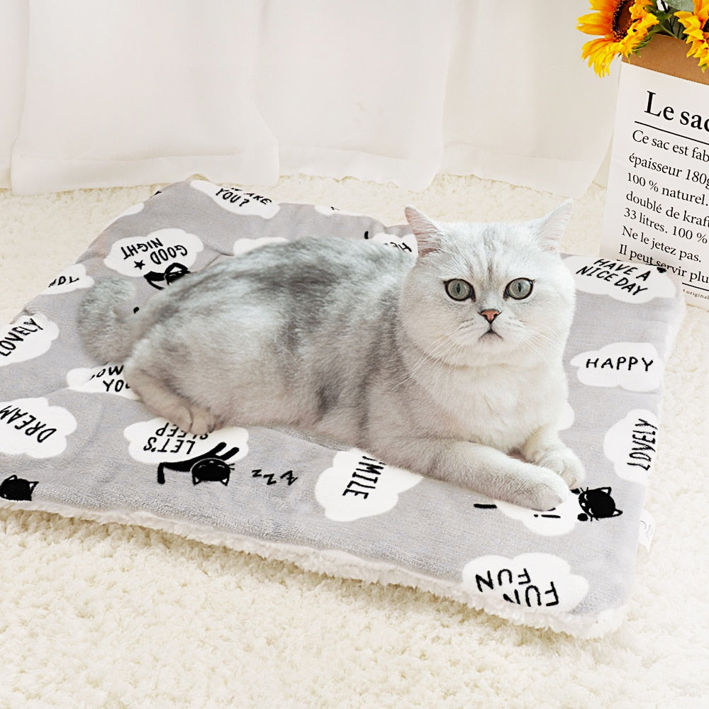 Soft Pet Blanket