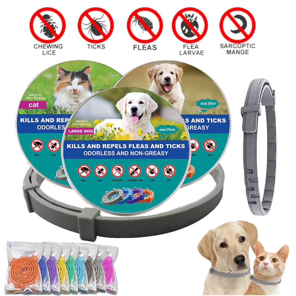 Pet Cat Dog Flea and Tick Remover Collar Anti-parasitic Necklace Adjustable Anti Flea Dog Collar for Puppy Cat Big Dog Products - Jack of All Trends