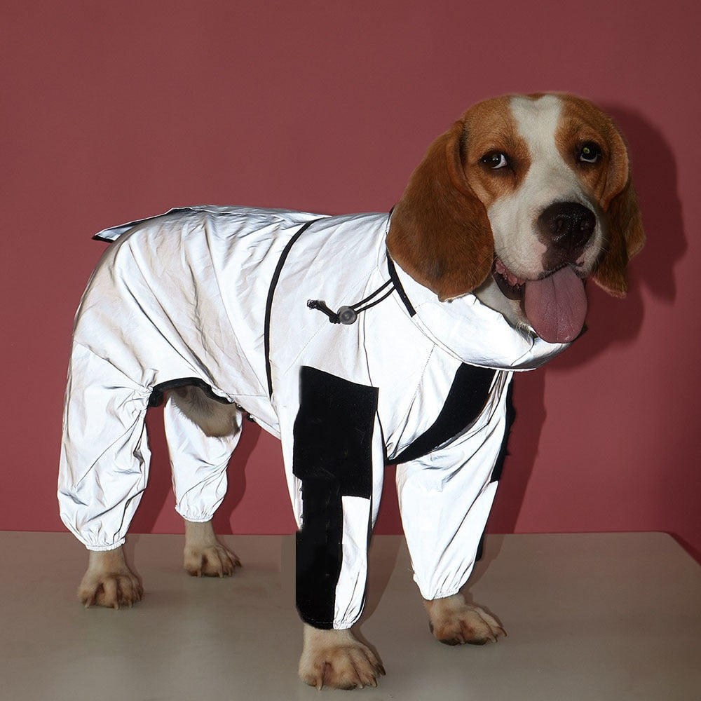 Reflective Dog Raincoat - Jack of All Trends