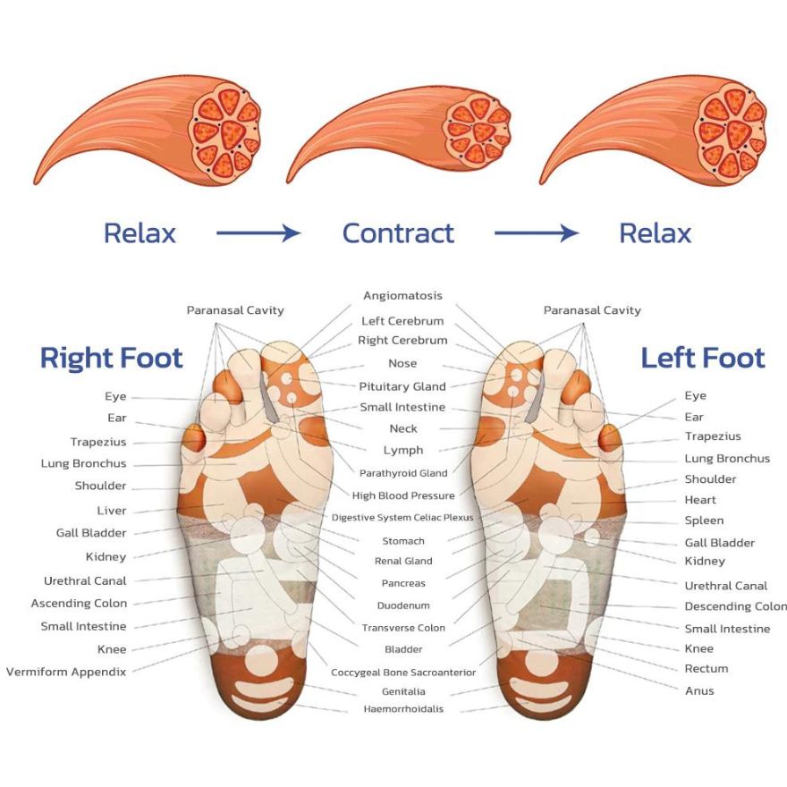 EMS Foot Massager - Jack of All Trends