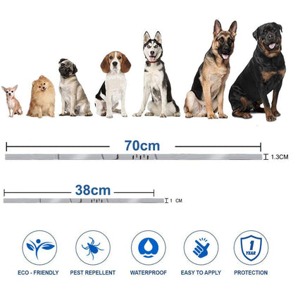 Pet Cat Dog Flea and Tick Remover Collar Anti-parasitic Necklace Adjustable Anti Flea Dog Collar for Puppy Cat Big Dog Products - Jack of All Trends